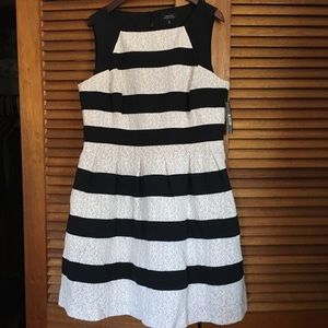 Tahari, white and black striped dress. With tags.